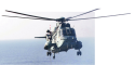 sea king